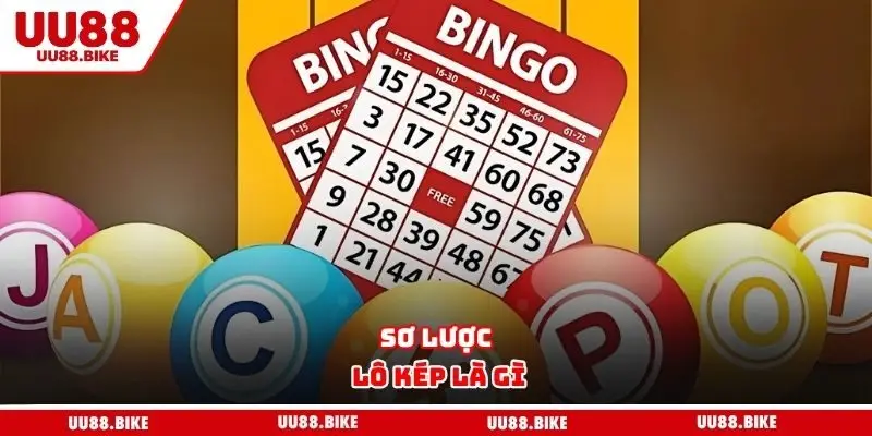 Sơ lược lô kép là gì