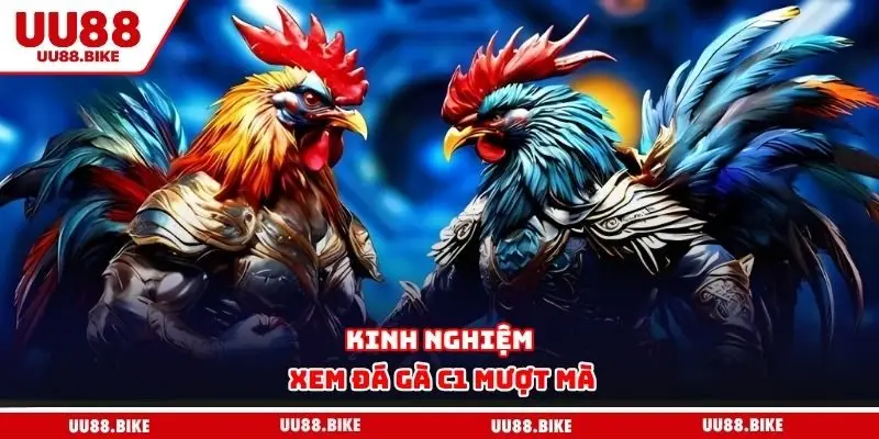Kinh nghiệm xem đá gà C1 mượt mà