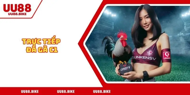 Trực tiếp đá gà C1